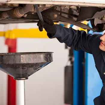 Oil Change & Maintenance